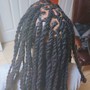 Tree Braids