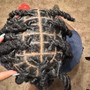 Starter Locs