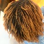 Two Strand Twist Starter Loc