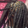 Starter locs