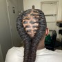 Takedown/ individual braids (small/xxsmall