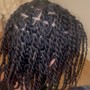 Two Strand Twist Starter Loc