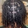 Two Strand Twist Starter Loc