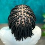 Two Strand Twists