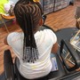 Kid's Starter Locs ( age 5-9) MUST HAVE CONSULTATION