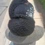 Two Strand Twist on Blow dried hair (average size)