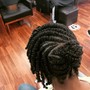 Two Strand Twist on Blow dried hair (average size)