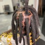 Starter locs