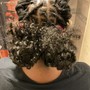 Root Touch Up