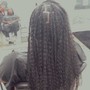 Box Braids Medium