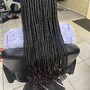 Root Touch Up