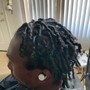 Adult Starter Locs ( Above the Ear)