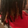 Starter locs