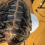 Starter Locs