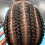 Two Strand Twist