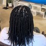 Knotless Senegalese Twist