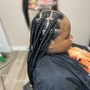 Kids Two strand twist