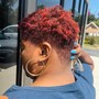 Shampoo and Blowout/Wash n Go