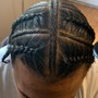 Butterfly Feed in Braids