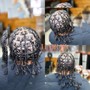 Individual Braids (Smedium)