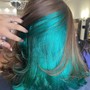 Lifting hair color (bleach) and fashion colors half of your head  prices range