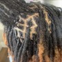 Starter Locs (Midback Length)