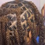 Loc Detox (ACV & Steam)