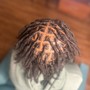 Starter Locs