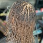 Root Touch Up