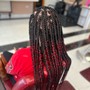 Box Braids