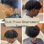 Individual Braids or Two Stand Twist (No Hair Added)