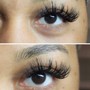 Refill Classic Lashes