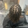 Starter dreadlocks