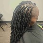 Mini Twist/ Spring Twist