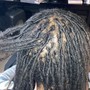 Starter Locs