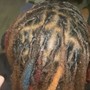 Starter Locs