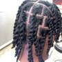 Two Strand Twists