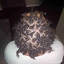 Women's natural hairstyle