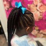 Large Ponytail Braids