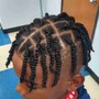 Two Strand Twists