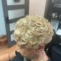 Updo/ Bridal hair do