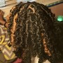 Natural Twists