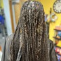 Havana Twists