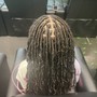 Loc Maintenance- Shampoo, Retwist