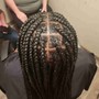 Smal Box Braids