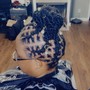 Starter locs (medium)