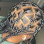 Passion Twist Over Locs