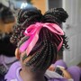 Kid's  Braids w/Extensions