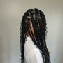 Starter Locs