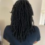 Crochet Butterfly Locs (long/short)